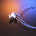 Contact temperature sensors (all technologies)