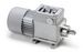 Spur gearmotors