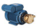 Rotary vane pumps