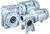 Worm gearmotor