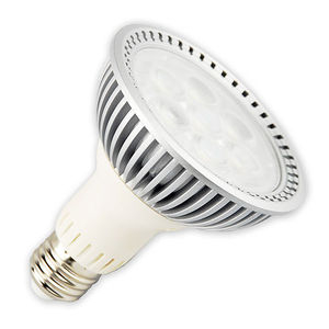 bulb