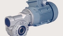 worm gear motor