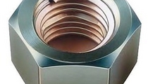 nut