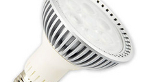 bulb