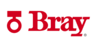 Bray International