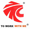 shanghai v-lions industrial co., ltd