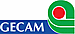 GECAM