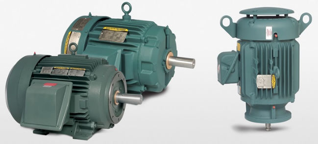 Ac Motor Cecp Series Baldor Electric Company Synchronous Ip