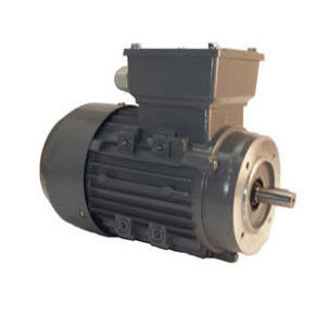 Three Phase Electric Motor Asynchronous B Series Brown Advance Three Phase Electric Motor Asynchronous B Series