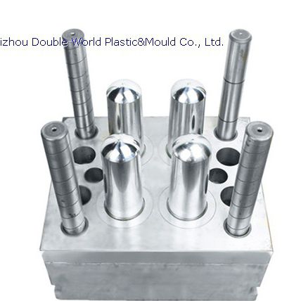 Multi Cavity Plastic Injection Mold DDW MDM009 Taizhou Double World