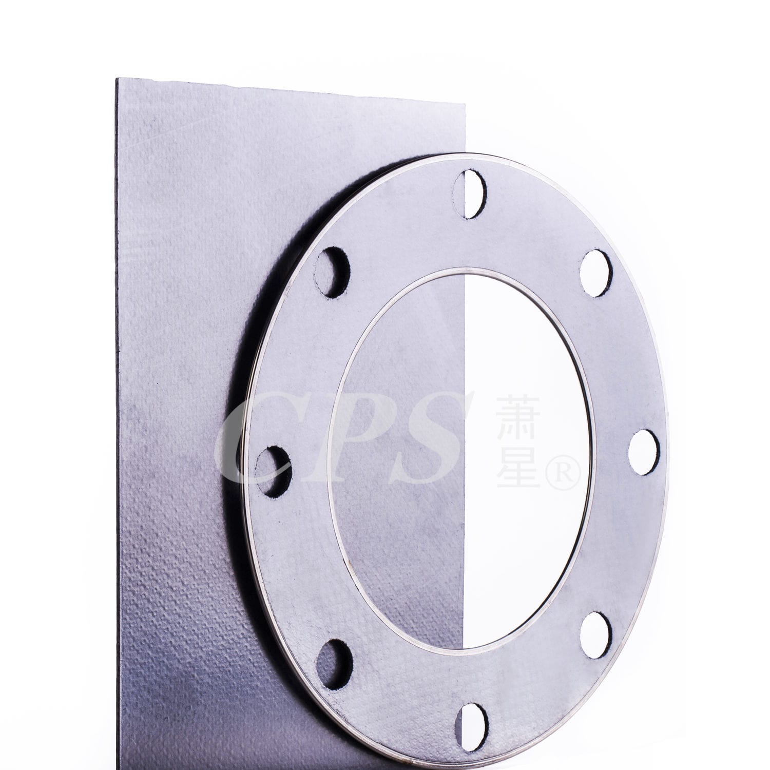 Stainless Steel Gasket Cps Zhejiang Cps Cathay Packing Sealing