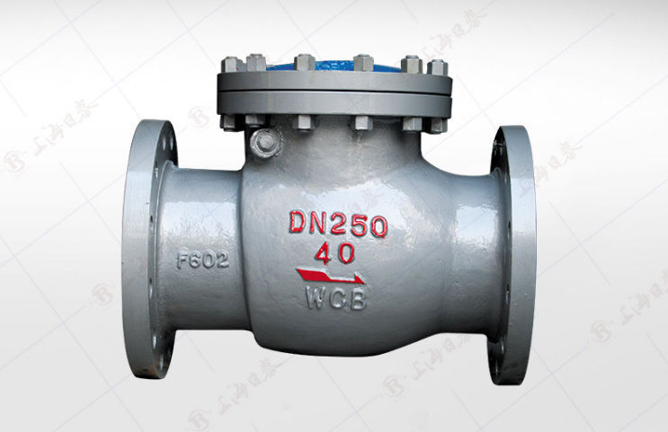 Swing Check Valve H44H W SHANGHAI RITAI VALVE GROUP CO LTD For