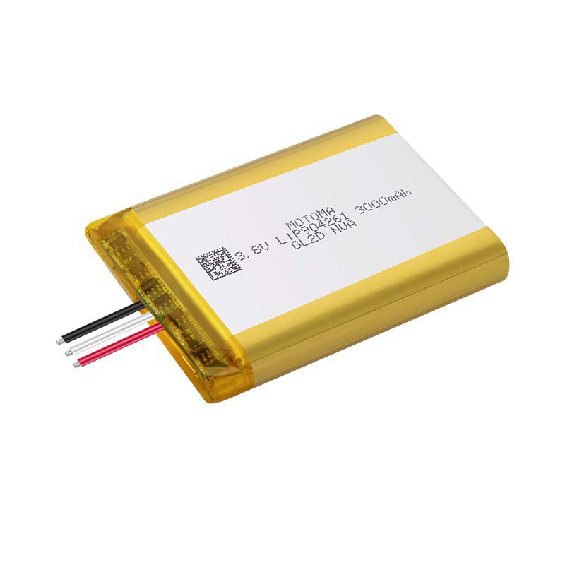 Lithium Polymer Battery Lip Shenzhen Motoma Power Co Ltd