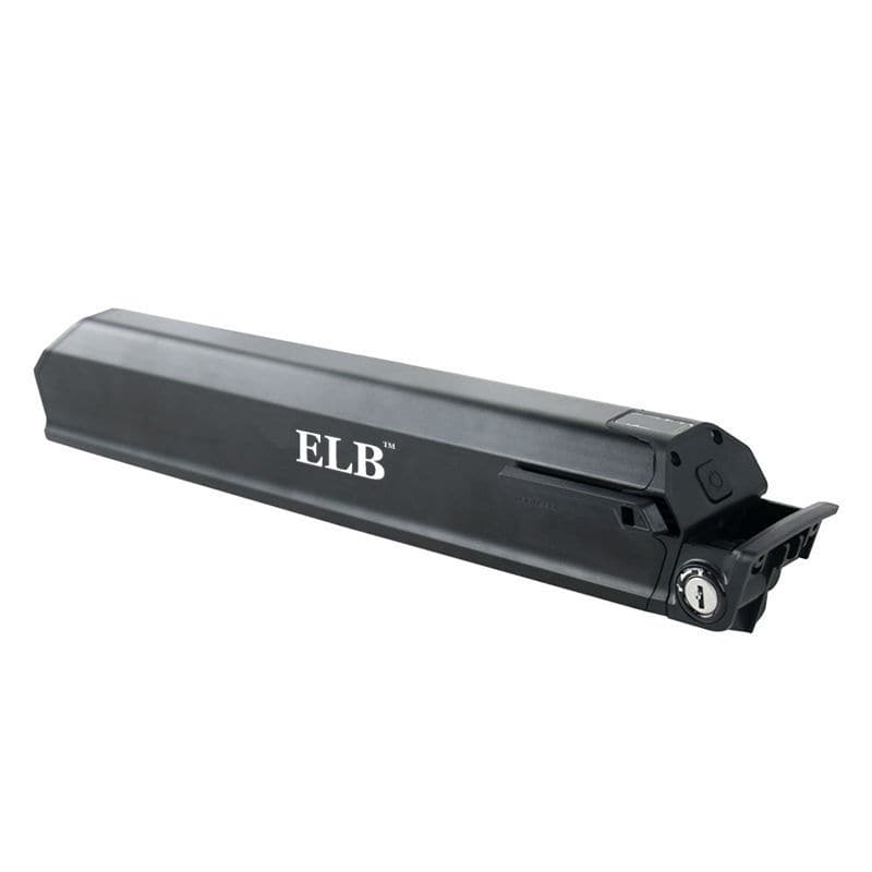 Lithium Ion Battery ELB Energy Group Rectangular 36 V IEC