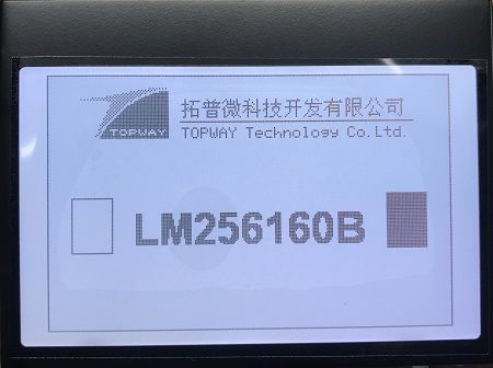 LED Display LM256160DCW TOPWAY LCD LCD Graphic Monochrome