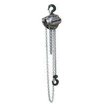 Manual chain hoist