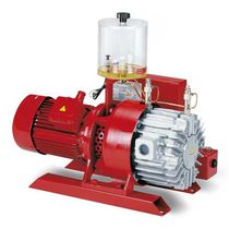Rotary vane vacuum pump / with once-through...