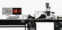 3D confocal microscope 50-70 nm | TCS STED LEICA MICROSYSTEMS
