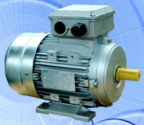 AC electric motor T 56-132 Series Siti