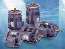 AC electric motor 0.25 - 20 HP | AE Series Adlee Powertronic Co., Ltd.