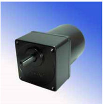 AC induction spur electric gearmotor 110 /220 V Source Engineering Inc.