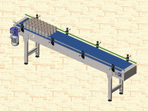 accumulation belt conveyor  TECNIA AUTOMATIZACION SL