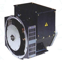 alternator 12.5 - 25 kVA | DG162 BELTRAME CSE