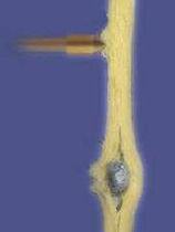 aramid fabric for personal protection applications  Seal SpA