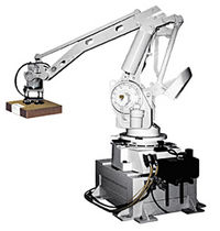 articulated palletizing robot  IMANPACK Packaging & Eco Solutions S.p.a.