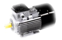 asynchronous electric brake motor max. 4 kW TEE T&uuml;rk Elektrik
