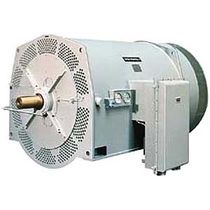 asynchronous electric motor  Schorch