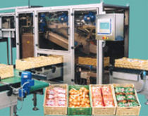 bag inserter in box / crate 90 p/min | PVF-1 CPS CASE PACKING SYSTEMS