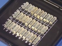 birefringent crystal  Photop Technologies