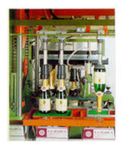 bottle cartoner 2 700 p/h | IAM 1/T PIAVE Bortolin Kemo