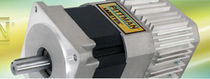 brushless DC electric servo-motor with integrated motion controller  PITTMAN