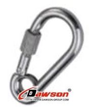 carabiner  Dawson Group