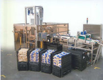 case packer 80 p/min | CL 86 CPS CASE PACKING SYSTEMS