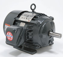cast iron frame three-phase asynchronous electric motor  Emerson Motors