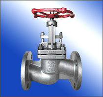 cast steel globe valve 1/2" - 12" | FSGL-11 BUENO TECHNOLOGY CO.,LTD