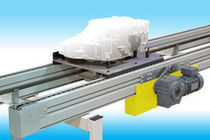 chain pallet conveyor  D&uuml;rr Paint Systems