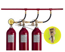CO2 based fire extinguishing system  Fike
