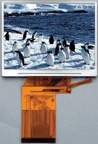 color TFT display module  Okaya