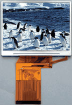 color TFT display module 320x240 px | RH320240T-3x5 Okaya