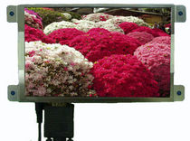 color TFT display module 7" | FHM070B1 Forenex Technology