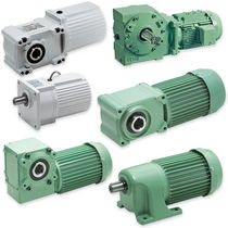 compact parallel shaft helical electric gearmotor  Tsubakimoto Chain