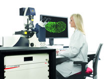 confocal laser microscope 80 nm | TCS STED CW LEICA MICROSYSTEMS
