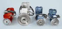 custom asynchronous electric motor   SSB Wind Systems
