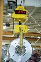 digital crane scale  Bushman