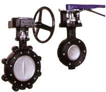 double offset butterfly valve (high performance)  Spartan Peripheral Devices
