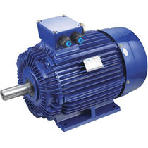 drip proof asynchronous electric motor 1/4 - 125 hp, 600 V | AYHL, AYUL Qin Wei Electric